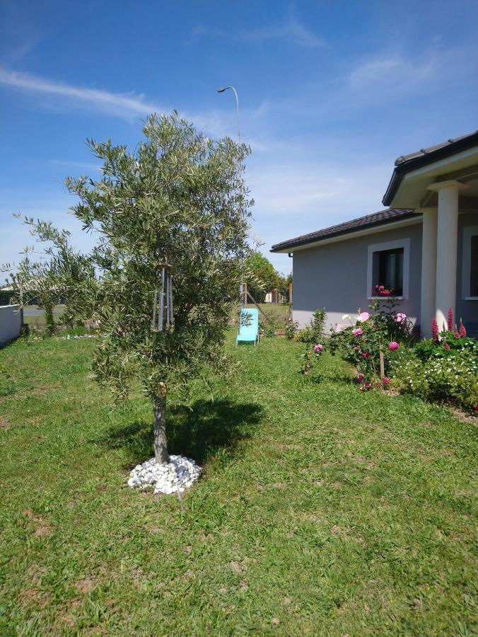 Le Bonheur A Portee De Mains Bergerac Dış mekan fotoğraf