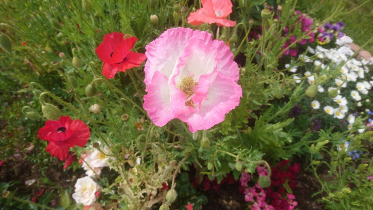 Le Bonheur A Portee De Mains Bergerac Dış mekan fotoğraf