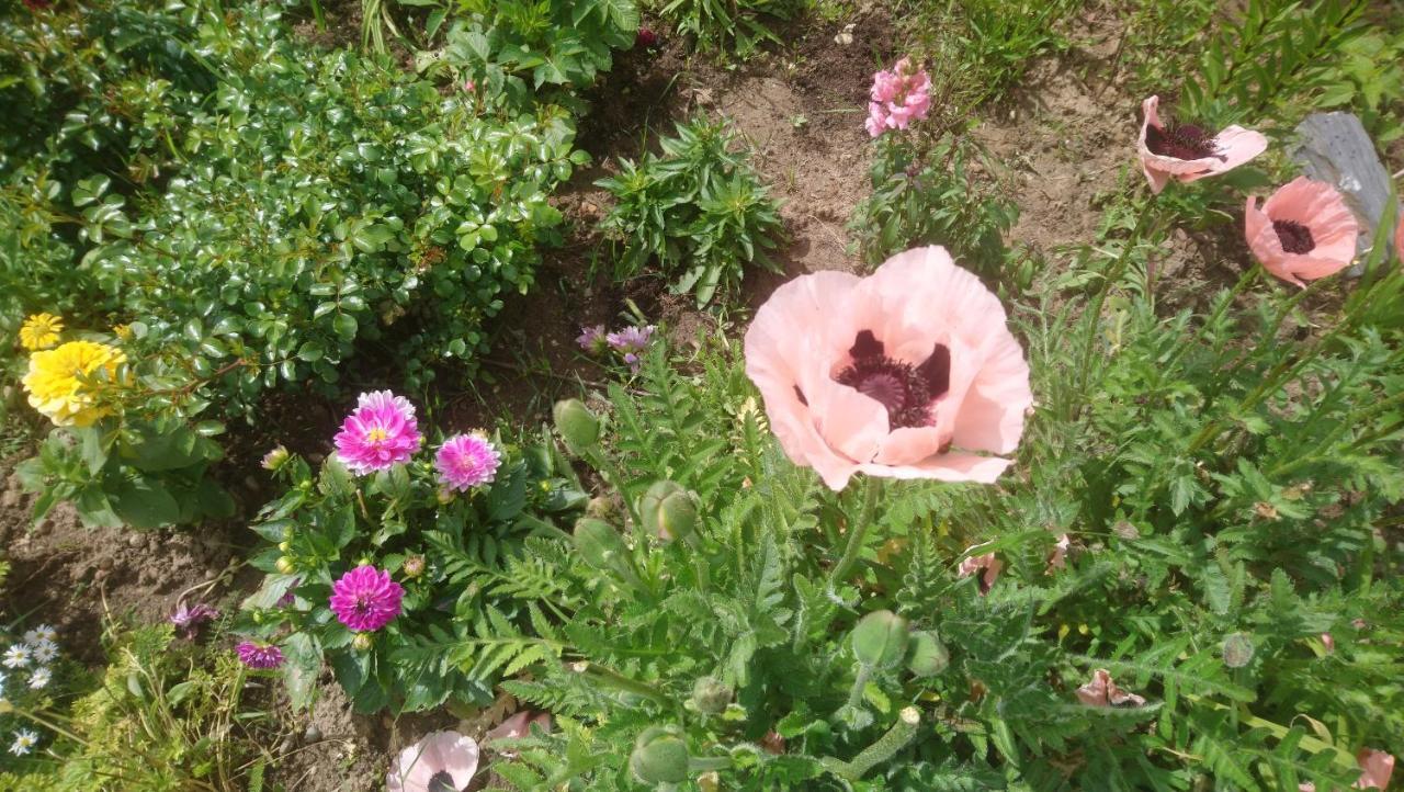 Le Bonheur A Portee De Mains Bergerac Dış mekan fotoğraf